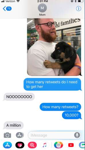 A Teen's Heartfelt Quest for a Puppy Captures the World and Changes His Mom's Mind