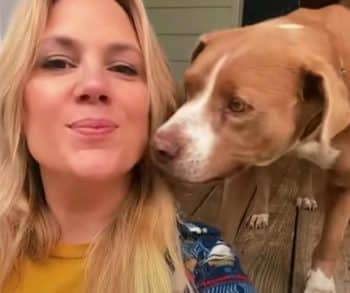 After Being Abandoned by Her Family a Sweet Senior Dog Finds a Loving New Home and Lasting Happiness