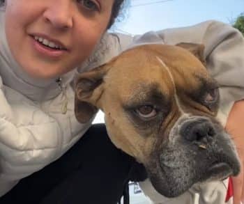 An Unlikely Friendship Blossoms Between a Lonely Boxer and a Hiker on a Mountain Adventure