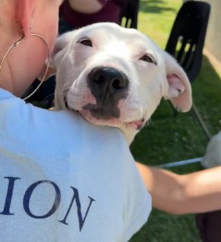 Bullet's Journey from Loneliness to Love