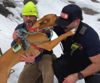 Daring Rescue of a Young Dog Trapped on a Slick Ledge Near a Roaring Waterfall in New York