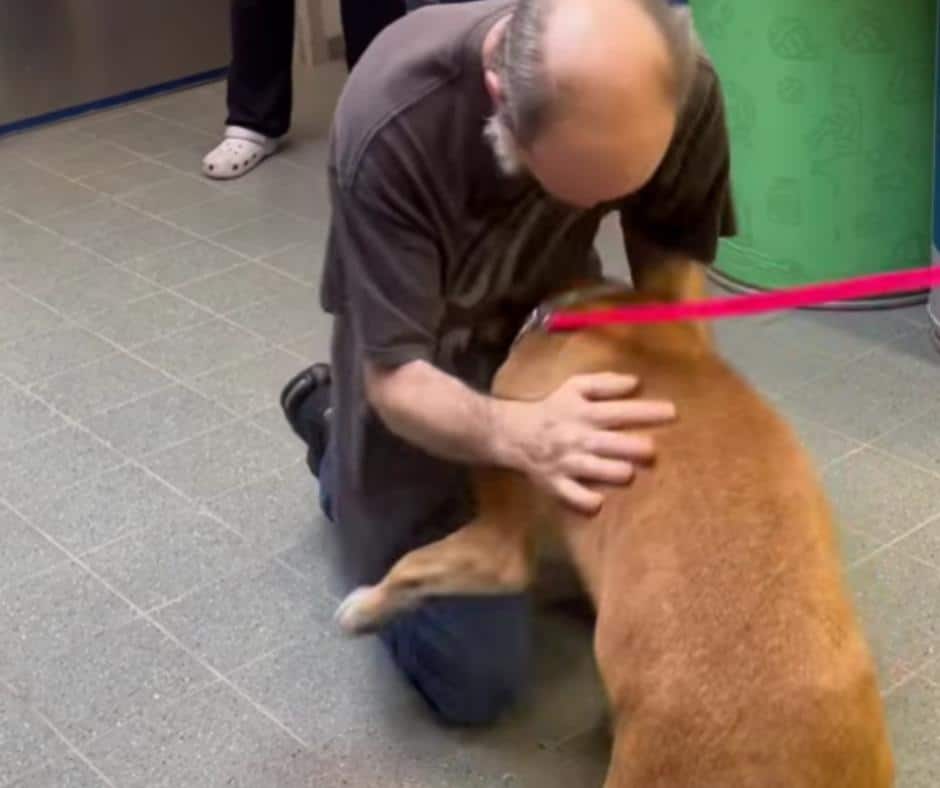 Emotional Reunion of Cancer Survivor and His Loyal Dog After Heartbreaking Separation