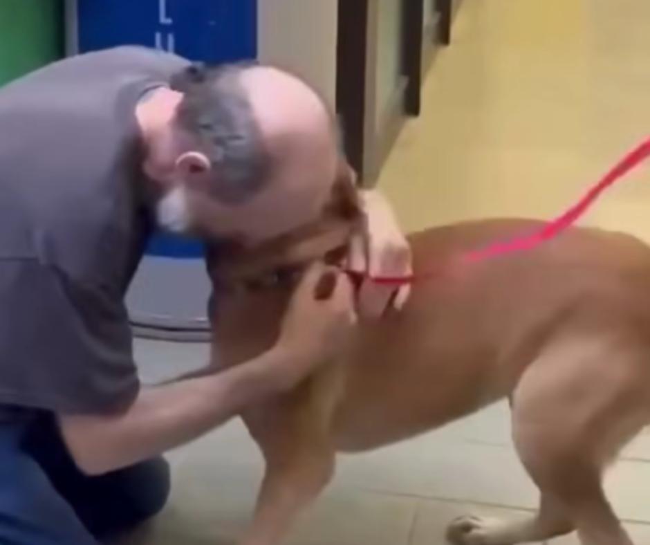 Emotional Reunion of Cancer Survivor and His Loyal Dog After Heartbreaking Separation