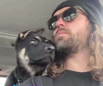 From Grief to Joy: How the Smallest Puppy Turned a Man's Life Around with Unconditional Love