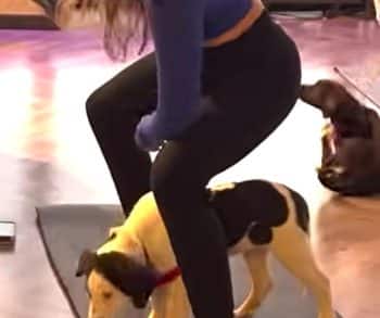 From Puppy Yoga to Forever Home: A Heartwarming Journey