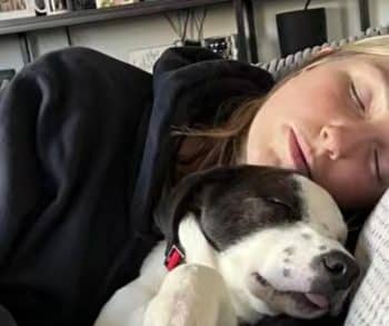 From Puppy Yoga to Forever Home: A Heartwarming Journey