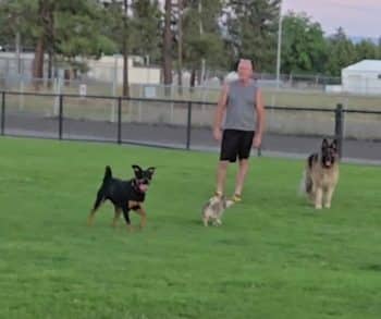 From Trash to Trust A Heartfelt Journey of a Dog Named Oscar Who Found Hope and Love