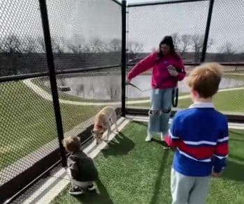 Heartwarming Rescue of a Frightened Pup Found on a Rooftop After a Possible Fall from a Bridge