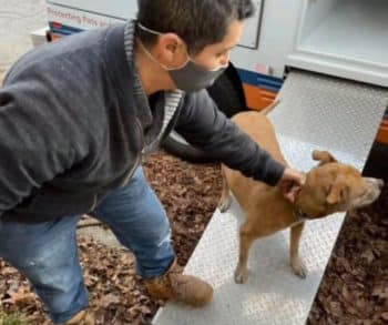 Homeless Hero Bravely Rescues Dozens of Trapped Animals from Devastating Fire in Atlanta Shelter
