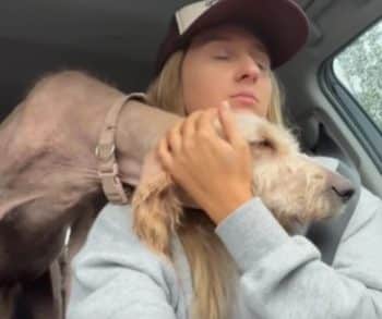 How a Kind Foster Mom Rescued a Sweet Doodle and Found the Perfect Bathtime Companion