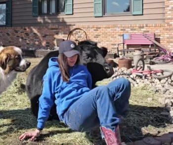 A Dramatic Display of Jealousy as a Loyal Cow Protects Her Bond with Family Amidst a Playful Dog