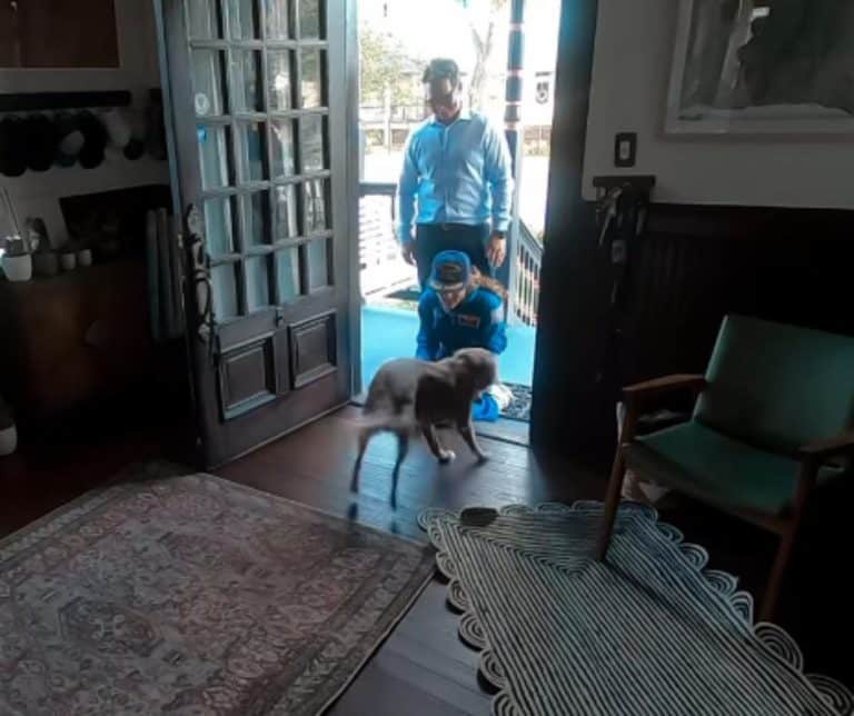 Astronaut Christina Koch's Heartwarming Reunion with Her Dog Sadie After a Historic Mission to the Moon