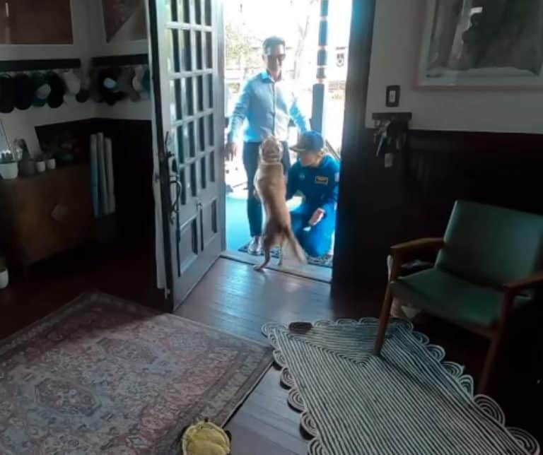 Astronaut Christina Koch's Heartwarming Reunion with Her Dog Sadie After a Historic Mission to the Moon