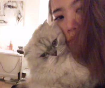 Discovering the Heartwarming Bond Between a Grumpy Cat and His Energetic Dalmatian Brother