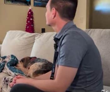 Family's Heartfelt Journey from Panic to Relief After Their Beloved Dog Goes Missing and a Scam Emerges