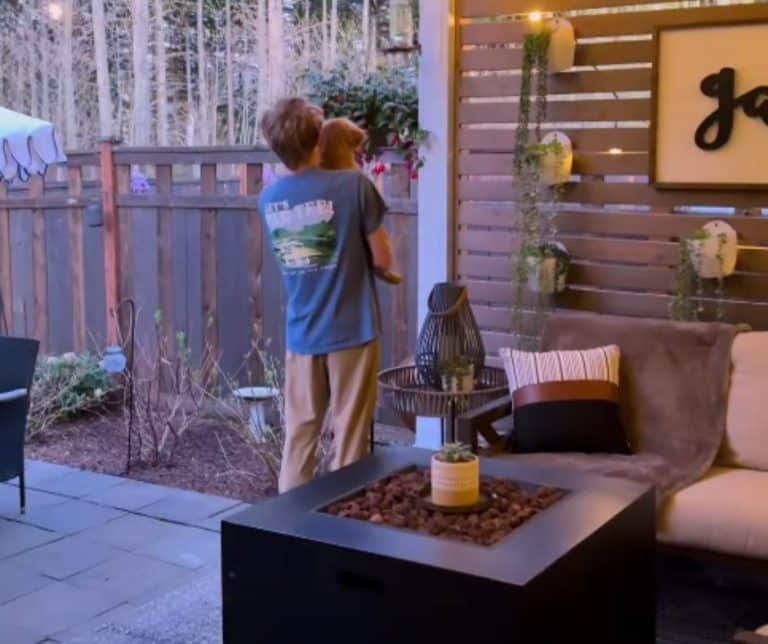 Golden Retriever Puppy Forms a Heartfelt Connection With Hummingbirds in Her Tranquil Backyard Retreat