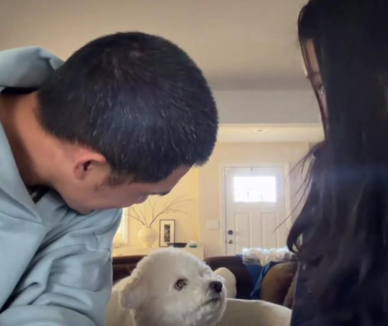 Heartfelt Experiment Reveals a Dog's Unconditional Love in a Couple's Playful Test of Loyalty