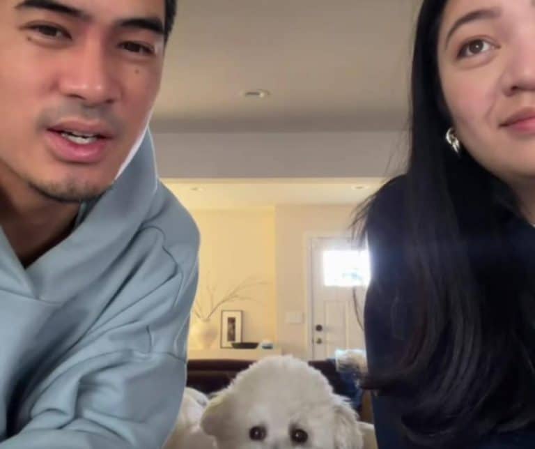 Heartfelt Experiment Reveals a Dog's Unconditional Love in a Couple's Playful Test of Loyalty