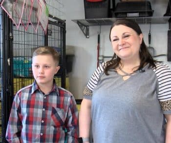 Heartwarming Journey of a 10-Year-Old Boy Who Gave His Savings for Sheltered Dogs to Ensure Their Comfort