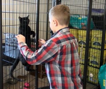 Heartwarming Journey of a 10-Year-Old Boy Who Gave His Savings for Sheltered Dogs to Ensure Their Comfort