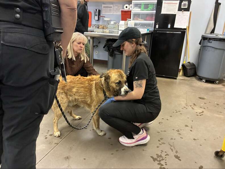 Heartwarming Rescue of Dog Stuck in Plastic Jug Ends in Unforgettable Hug from Grateful Pup