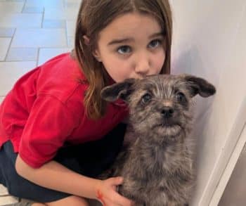 Heartwarming Tale of a Stolen Puppy Named Chico Who Finds Love and a New Life as Rusty