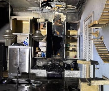 Heroic Dogs Save Their Owner from a Devastating Early Morning Fire in Louisiana
