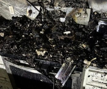 Heroic Dogs Save Their Owner from a Devastating Early Morning Fire in Louisiana