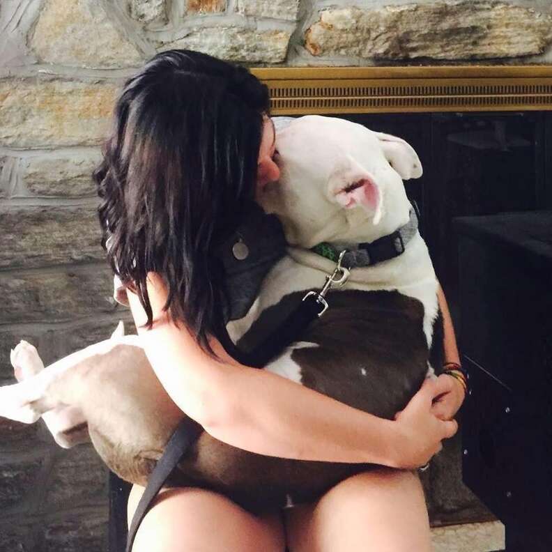 Inspiring Story of a Rescued Dog Finding Friendship After His Joyful Reunion with Family