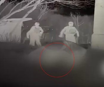 Ukrainian Soldiers Transform a Drone into a Lifeline to Save a Cat and Dog from the Frontlines of War