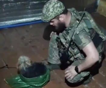 Ukrainian Soldiers Transform a Drone into a Lifeline to Save a Cat and Dog from the Frontlines of War