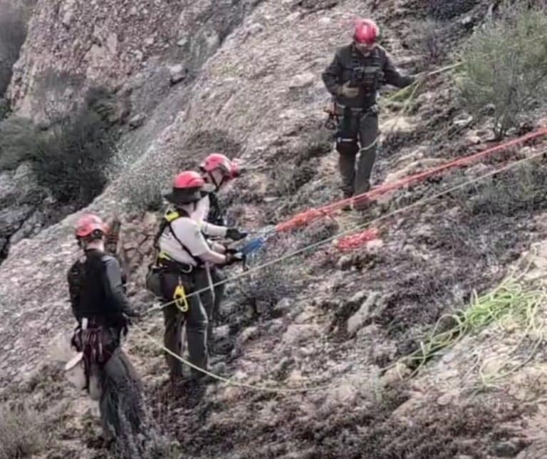 Unexpected Heroism and Unbreakable Bonds Three Dogs Rescued from a Canyon After a Frantic Search