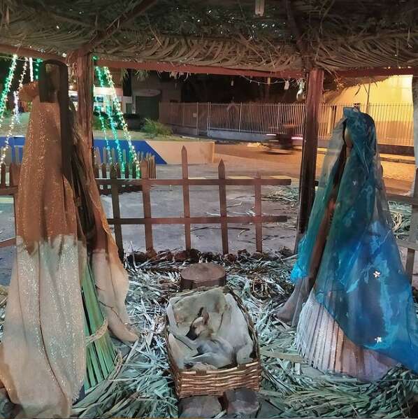 A Heartwarming Encounter: The Surprising Moment a Stray Puppy Found Refuge in a Nativity Scene