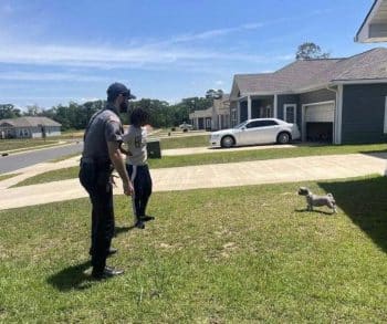 A Heartwarming Tale of a Runaway Dog and the Deputies Who Used French Fries to Bring Her Home