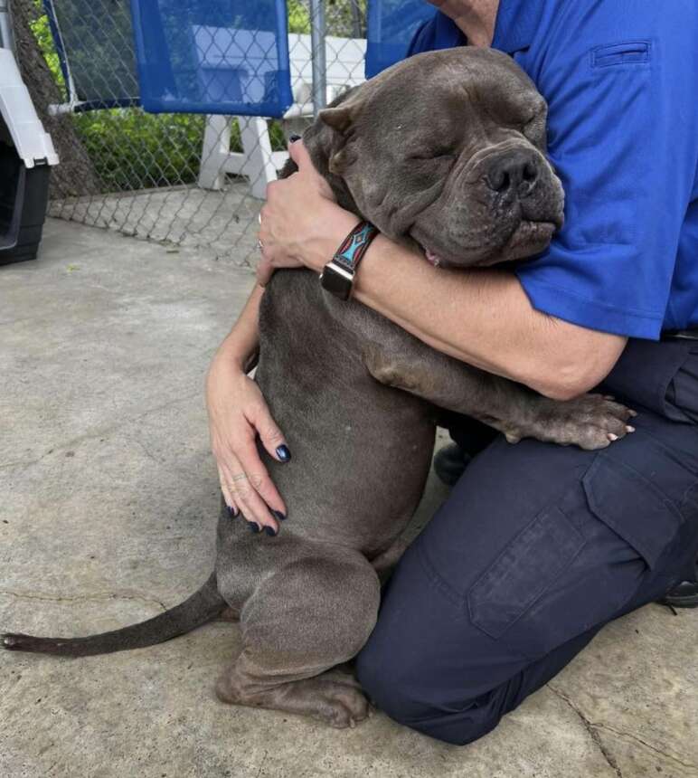 Abandoned Dog Overwhelmed with Gratitude Receives Heartwarming Hugs from His Rescuers in Copperas Cove