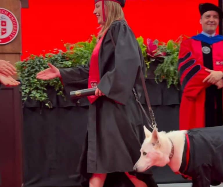 Emotional Graduation Moment as Service Dog Sadie Receives Heartfelt Tribute During Ceremony at Texas Tech University