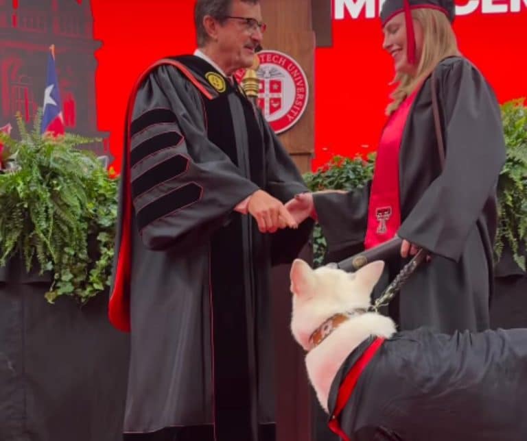 Emotional Graduation Moment as Service Dog Sadie Receives Heartfelt Tribute During Ceremony at Texas Tech University