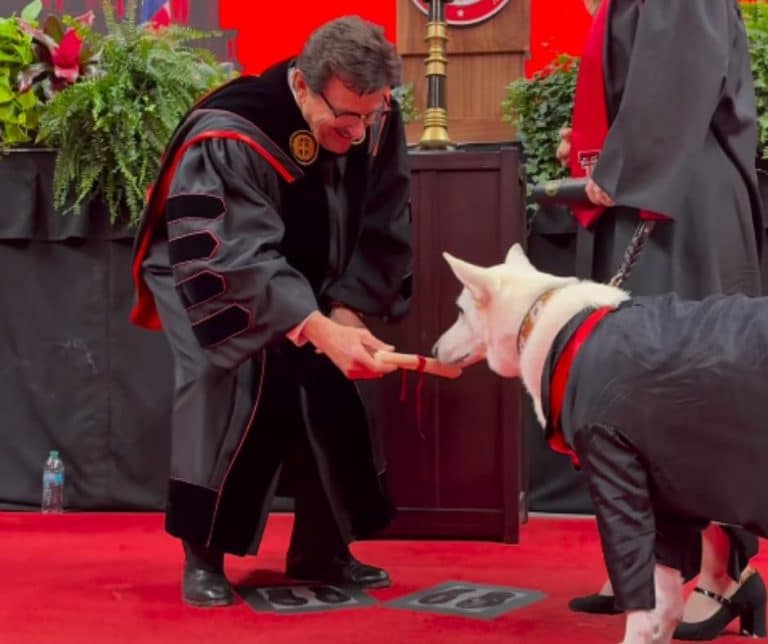 Emotional Graduation Moment as Service Dog Sadie Receives Heartfelt Tribute During Ceremony at Texas Tech University