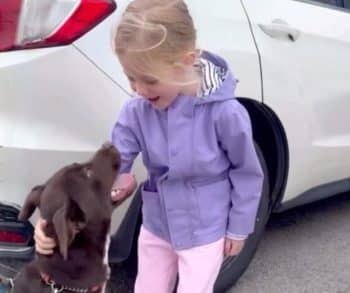 Emotional Reunion of a Shelter Dog and a Little Girl Who Found Each Other at the Adoption Event
