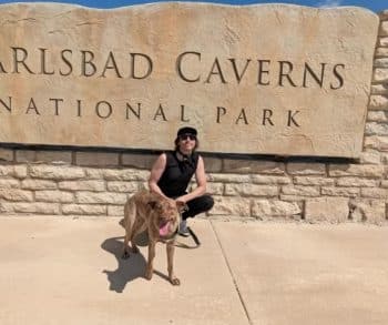From the Brink of Death to a Warm Embrace: Ivy's Journey to a Loving Home