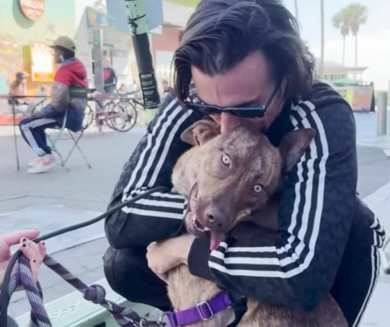 From the Brink of Death to a Warm Embrace: Ivy's Journey to a Loving Home