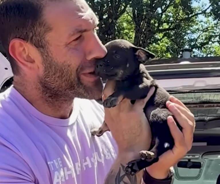 Heartwarming Rescue of 11 Puppies from a Backyard Breeder Transforming Lives One Paw at a Time
