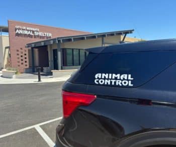 Heartwarming Rescue of 114 Dogs Highlights Triumph Over Cruelty in Mesquite Nevada