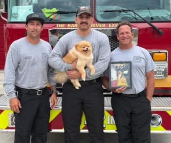 Heartwarming Rescue of Pomeranian Odin Who Got Stuck in Baby Gate Captivates Millions with Courage and Love