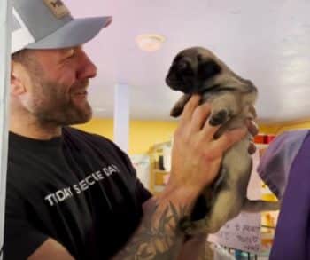 Heartwarming Rescue Story of a Tiny Pug Who Found His Forever Home with Lee Asher