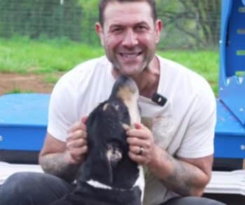 How a Heartwarming Rescue Transformed Benito from Euthanasia to a Second Chance at Life