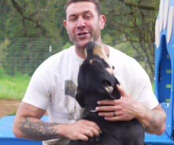 How a Heartwarming Rescue Transformed Benito from Euthanasia to a Second Chance at Life