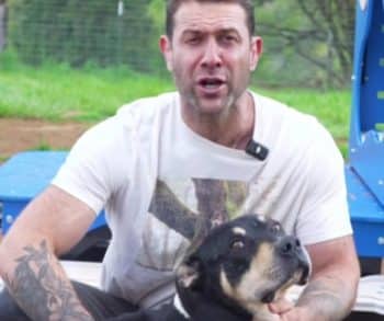 How a Heartwarming Rescue Transformed Benito from Euthanasia to a Second Chance at Life