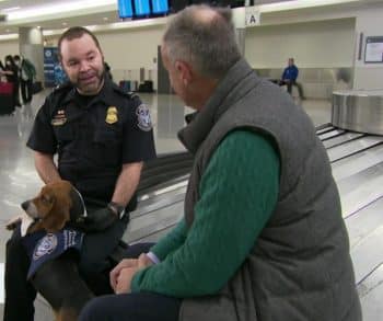 Inspiring Beagles Work Relentlessly to Safeguard America's Food Supply at Atlanta Airport