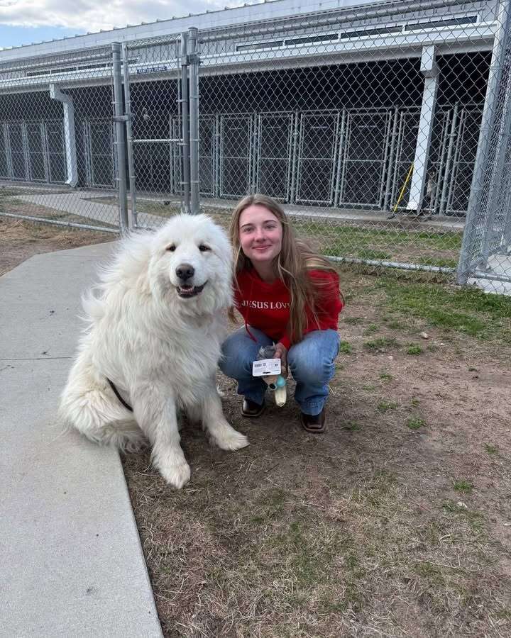 Inspiring Journey of a Shelter Dog Overcoming His Fear of Floors and Finding a Loving Home